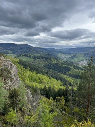 Lautenbacher Felsenweg