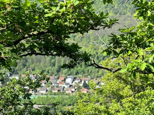 Neustadt / Wstr. - Rundwanderweg Weinbiet - Wolfsburg