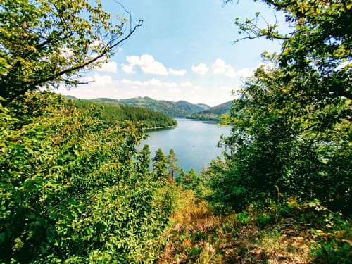 Rundwanderweg Hohenwarte H2: Natur und Bauwerk