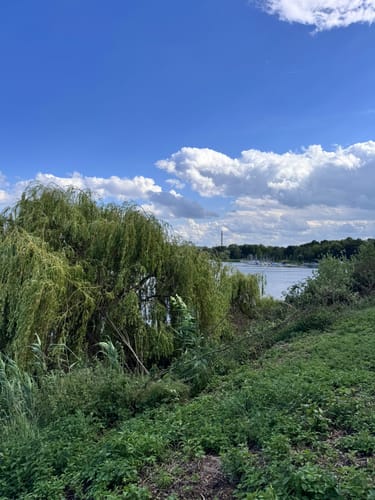 Kulkwitzer See