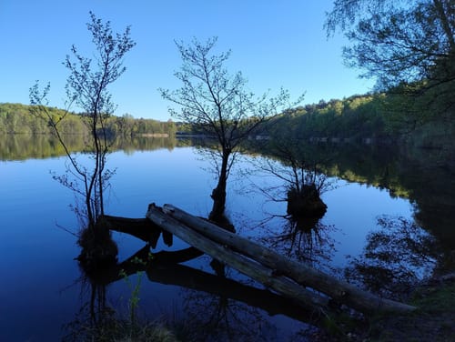 Rund um den Großensee