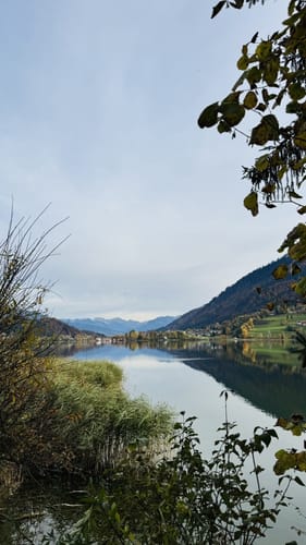 Vom Alpsee zur Siedelalpe