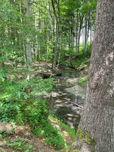 Maisinger See Rundweg