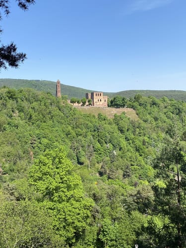 Bad Dürkheim - Kloster Limburg - Bad Dürkheim