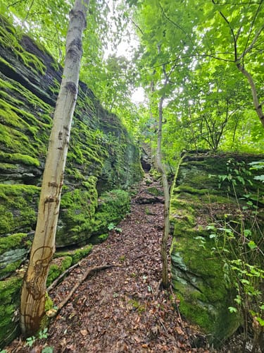 Finsterbergen Rundweg