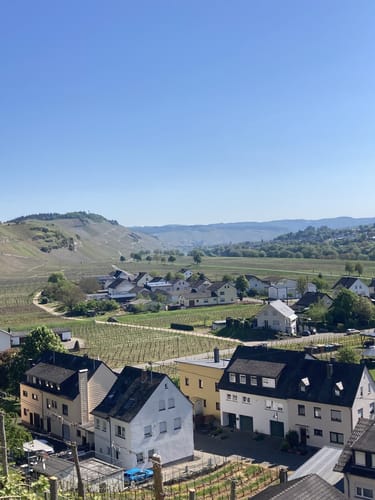Moselsteig Etappe 10: Monzel - Bernkastel-Kues