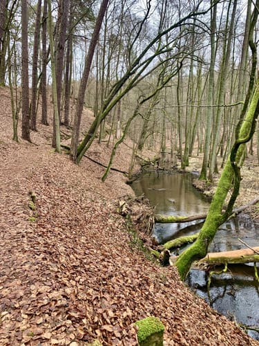 Von Siehdichum durchs Schlaubetal bis zum Wirchensee