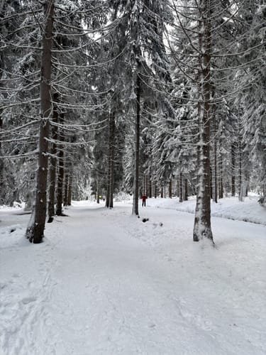 Okruh Boží Dar - Hubertky