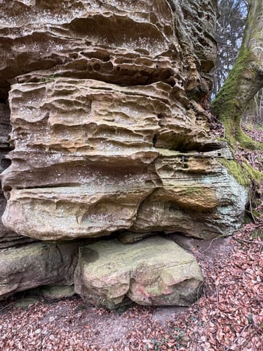 Holsthum - Ferschweiler (Naturpark Südeifel Wanderweg Nr. 58)