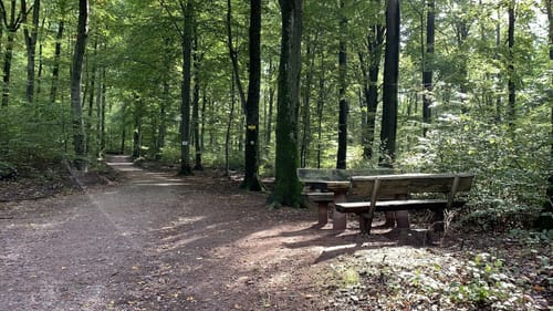 Pälzer Keschdeweg Etappe 2: Annweiler - Albersweiler