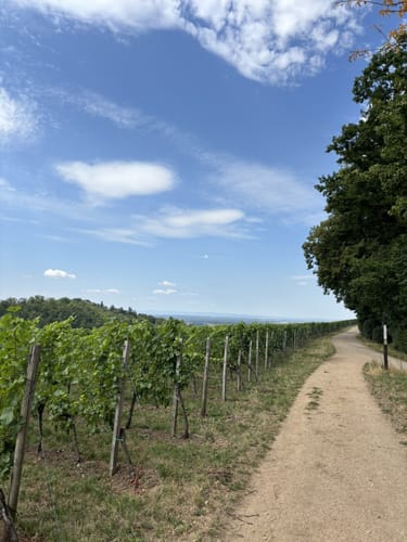 Auerbacher Schlossweg