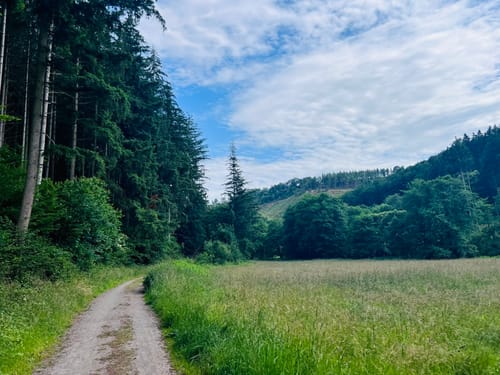 Naturpark Südeifel Wanderweg Nr. 32 - Übereisenbach - Obereisenbach
