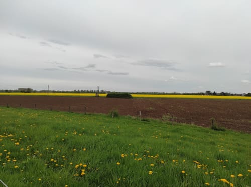 Bislich: Storchenrundweg