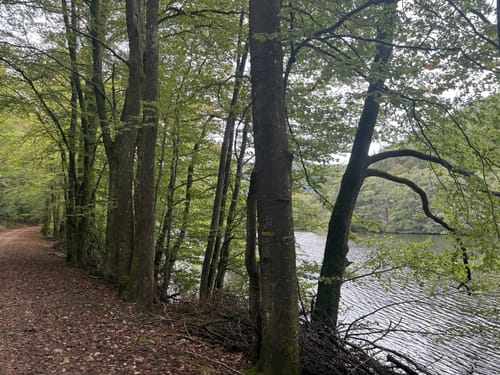 Erlenbach - Burg Berwartstein - Seehofweiher
