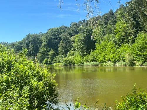 Wanderrunde Karlsbrunn