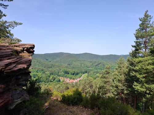 Rimbach-Steig (Premiumwanderweg)