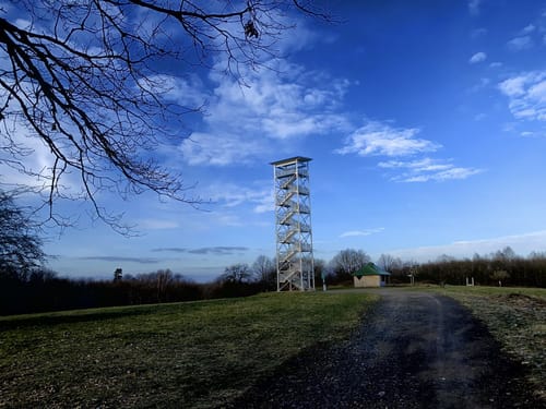 Steinbachpfad (Premiumwanderweg)