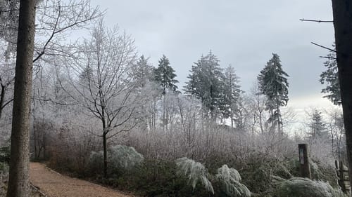 Der Hochwälder (Traumschleife)