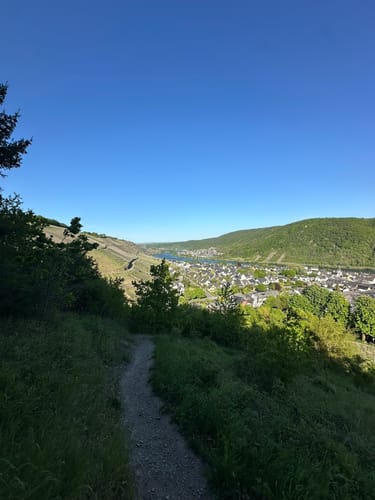 Moseltraum (Traumpfädchen)