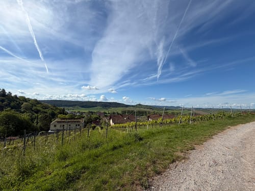 Unterjesinger Wengertwegle (Premiumspazierwanderweg)