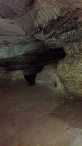 Über Hardelsberg und  Spechtsberg zur Huysburg