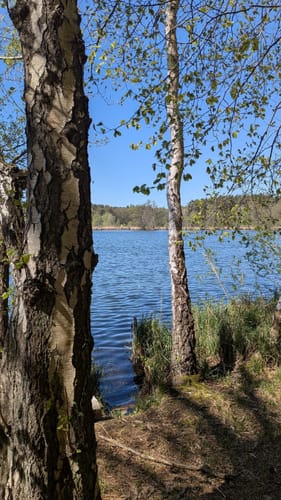 Zum Plötzensee