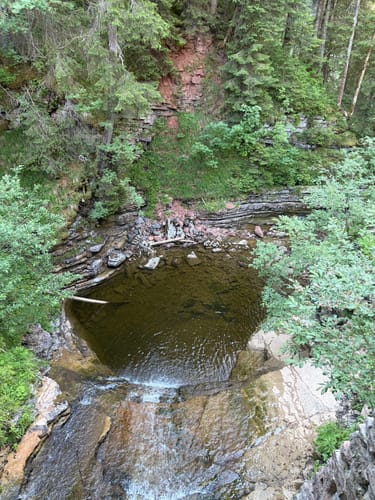 Mooswinklalm - Muckklause