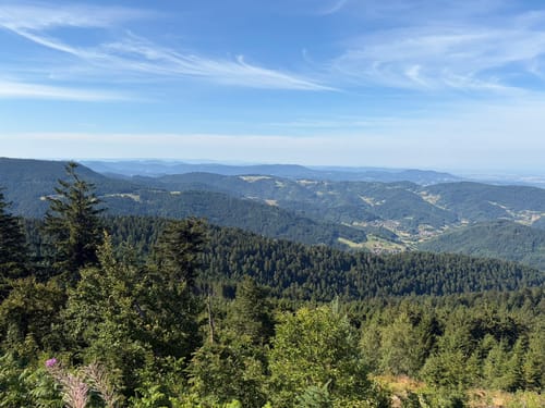 Rund um die Hornisgrinde