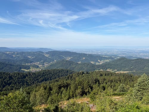 Rund um die Hornisgrinde