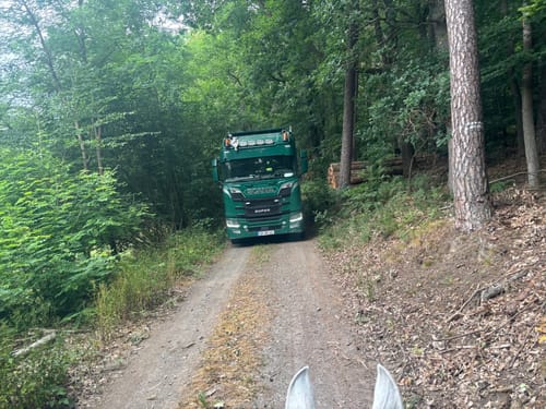 Rundwanderweg Hüttental 9: Mösselbachweg