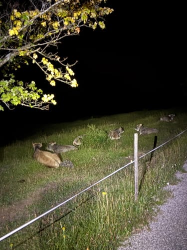 Schrecksee ab Parkplatz Säge