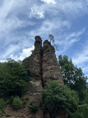 Dahner Felsenpfad (Premiumwanderweg)