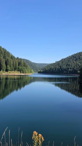 Rund um den kleiner Kinzigtalstausee