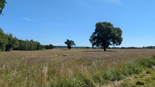 Preetz - Lanker See - Wahlstorf Hof