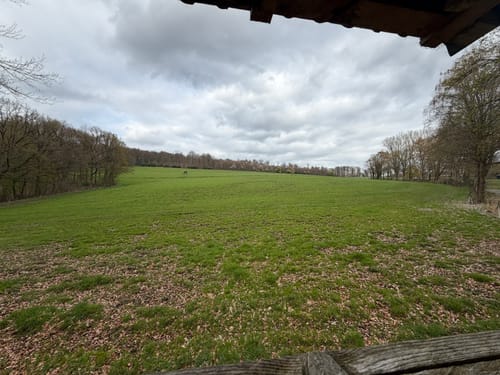Von Wetter zum Nacken