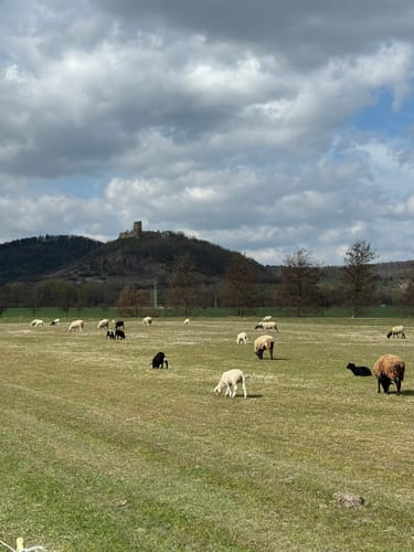 Burgen-Rundwanderung Drei Gleichen