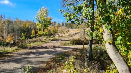 Bad Lauterberg - Stöberhai - Odertalsperre