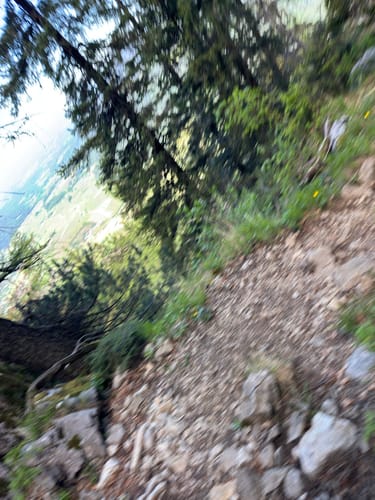 Von Einsiedl zum Gamskogel
