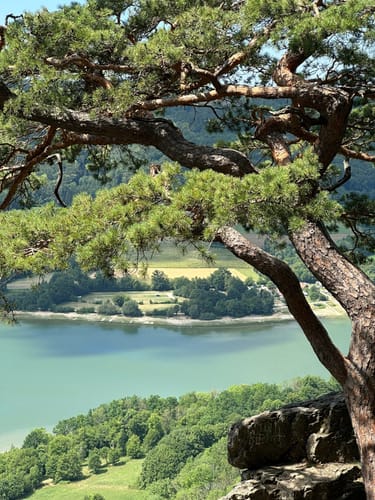 Panoramaweg Happburger Stausee