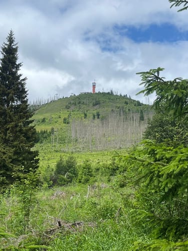 Wurmberg - Grenzweg