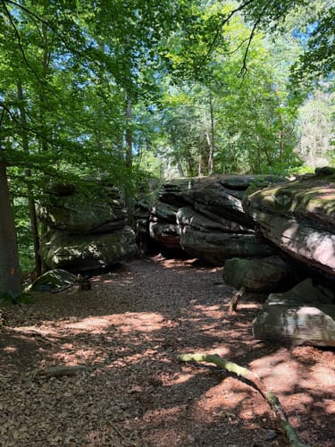 Durch den Reihenhäuser Wald zu den Jägersteinen