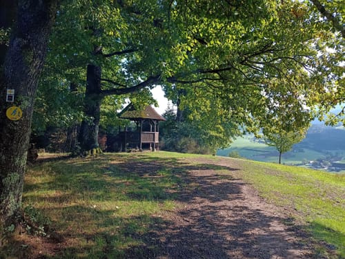 Hahn-und-Henne-Runde (Genießerpfad)