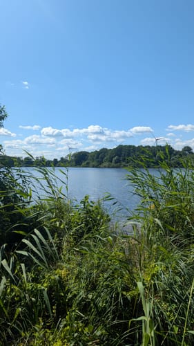 Rundwanderweg Einfelder See
