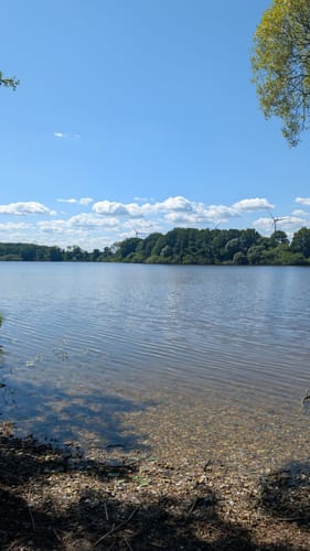 Rundwanderweg Einfelder See