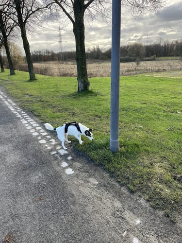 Durch den Nordsternpark
