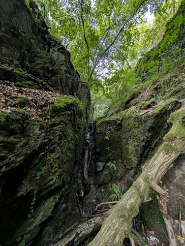 Ruppertsklamm Rundweg mit Rheinsteig
