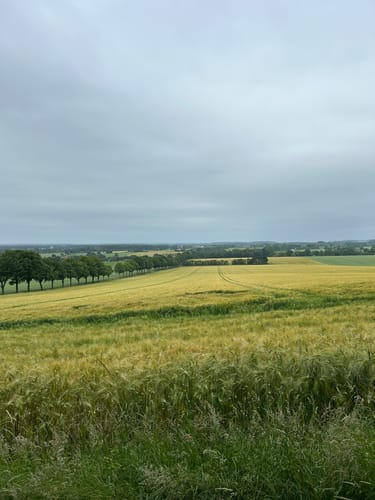 Longinusturm Rundweg A3