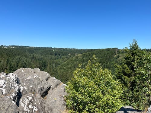 Monschau - Perlenbachtalsperre Rundwanderung