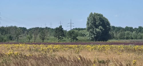 Gangelt: Rote Route