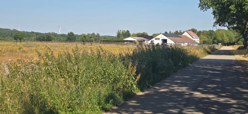 Gangelt: Rote Route